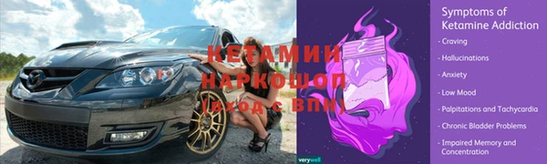 стаф Белокуриха