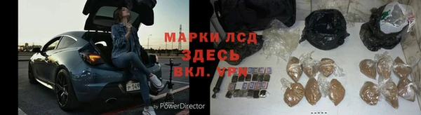 стаф Белокуриха