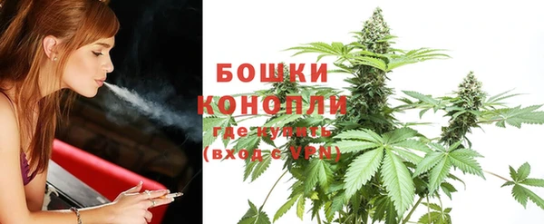 стаф Белокуриха