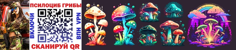 Галлюциногенные грибы MAGIC MUSHROOMS  закладки  Буйнакск 